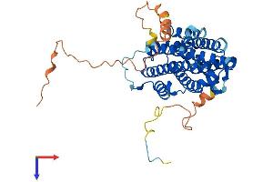 AlphaFold protein structure predicition of Mouse Recombinant Rrm2 Protein, UniprotID P11157