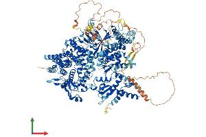 AlphaFold protein structure predicition of Human Recombinant PHKA1 Protein, UniprotID P46020