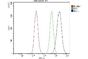 Flow Cytometry analysis of 293T cells using anti-NEFL/NF-L antibody (ABIN7601626).