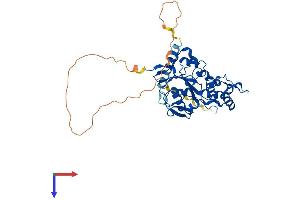 AlphaFold protein structure predicition of Mouse Recombinant Hs3st3a1 Protein, UniprotID Q8BKN6