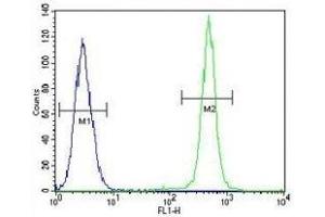 IGF1 antibody flow cytometric analysis of A549 cells (green) compared to a negative control cell (blue).