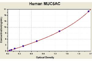 Diagramm of the ELISA kit to detect Human MUC5ACwith the optical density on the x-axis and the concentration on the y-axis. (MUC5AC Kit ELISA)