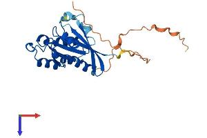 AlphaFold protein structure predicition of Human Recombinant RAB33B Protein, UniprotID Q9H082