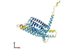AlphaFold protein structure predicition of Mouse Recombinant Tas2r38 Protein, UniprotID Q7TQA6