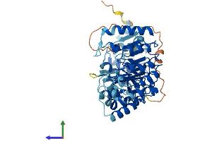 AlphaFold protein structure predicition of Human Recombinant PRAMEF19 Protein, UniprotID Q5SWL8