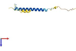 AlphaFold protein structure predicition of Human Recombinant C19orf53 Protein, UniprotID Q9UNZ5