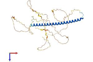 AlphaFold protein structure predicition of Human Recombinant FOS Protein, UniprotID P01100