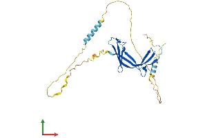 AlphaFold protein structure predicition of Human Recombinant EAF1 Protein, UniprotID Q96JC9