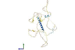 AlphaFold protein structure predicition of Mouse Recombinant Psrc1 Protein, UniprotID Q9D0P7