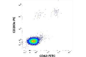 Flow cytometry dot-plot staining pattern of rAlt a 1 recombinant allergen stimulated human peripheral whole blood lymphocytes and basophils of a proven allergic donor stained using anti-human CD63 (MEM-259) FITC and anti-human CD203c (NP4D6) PE antibodies . (Alt a 1 (Alternaria Alternata) Protéine)