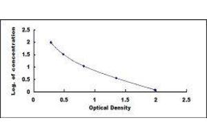 Typical standard curve (Progesterone Kit ELISA)