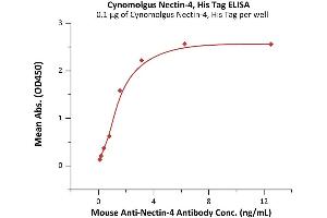 Immobilized Cynomolgus Nectin-4, His Tag (ABIN6938939,ABIN6950975) at 1 μg/mL (100 μL/well) can bind Mouse An-4 Antibody with a linear range of 0.