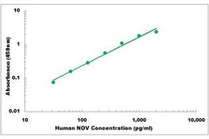 Representative Standard Curve (NOV Kit ELISA)