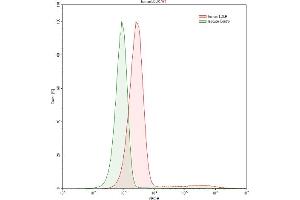 Detection of LDLR in HepG2 human hepatocellular carcinoma cell line using Polyclonal Antibody to Low Density Lipoprotein Receptor (LDLR)