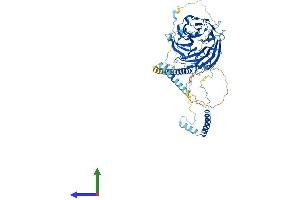 AlphaFold protein structure predicition of Mouse Recombinant Dnai2 Protein, UniprotID A2AC93