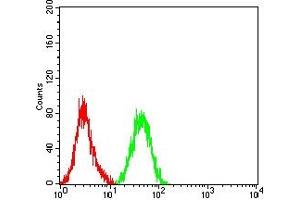 Flow cytometric analysis of HL-60 cells using CD10 mouse mAb (green) and negative control (red).