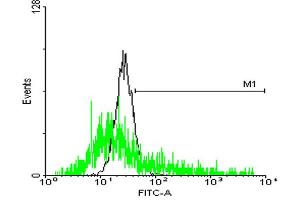 FACS analysis of negative control 293 cells (Black) and SSR2 expressing 293 cells (Green) using SSR2 purified MaxPab mouse polyclonal antibody.