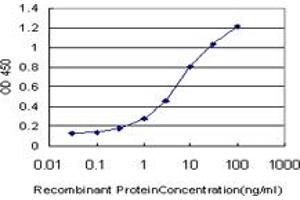 Detection limit for recombinant GST tagged SMAD5 is approximately 0.