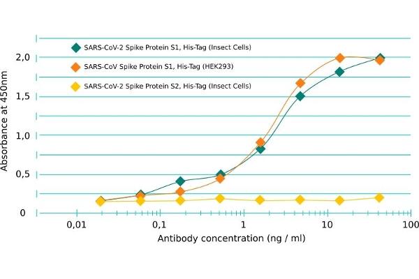 Recombinant SARS-CoV-2 Spike S1 anticorps  (RBD)