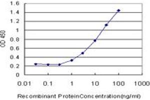 Detection limit for recombinant GST tagged MECP2 is approximately 1ng/ml as a capture antibody. (MECP2 anticorps  (AA 81-170))
