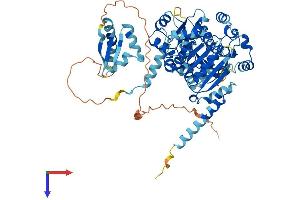 AlphaFold protein structure predicition of Human Recombinant DDX43 Protein, UniprotID Q9NXZ2