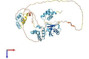 AlphaFold protein structure predicition of Human Recombinant RAD23B Protein, UniprotID P54727