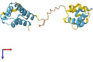 AlphaFold protein structure predicition of Human Recombinant PYCARD Protein, UniprotID Q9ULZ3