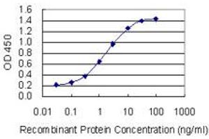 Detection limit for recombinant GST tagged FUT4 is 0. (CD15 anticorps  (AA 167-265))