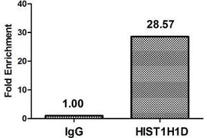 Chromatin Immunoprecipitation Hela (4*10 6 ) were treated with Micrococcal Nuclease, sonicated, and immunoprecipitated with 5 μg anti-HIST1H1D (ABIN7139626) or a control normal rabbit IgG.