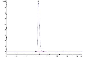 The purity of Human 4-1BB/TNFRSF9 is greater than 95 % as determined by SEC-HPLC.