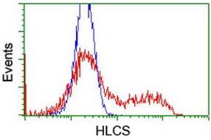 HEK293T cells transfected with either RC209197 overexpress plasmid (Red) or empty vector control plasmid (Blue) were immunostained by anti-HLCS antibody (ABIN2455633), and then analyzed by flow cytometry. (HLCS anticorps)