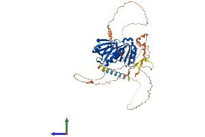 AlphaFold protein structure predicition of Mouse Recombinant Dok7 Protein, UniprotID Q18PE0