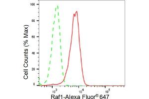 Flow cytometric analysis of Raf1 expression in HeLa cells using Raf1 antibody (ABIN7800801), 1:2,000).