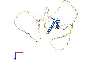 AlphaFold protein structure predicition of Human Recombinant HOXD1 Protein, UniprotID Q9GZZ0