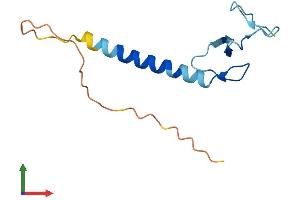 AlphaFold protein structure predicition of Human Recombinant LIMS4 Protein, UniprotID P0CW20 (LIMS4 (AA 1-117) protein (His tag))