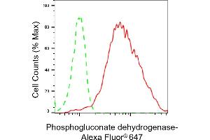 Flow cytometric analysis of Phosphogluconate dehydrogenase expression in HepG2 cells using Phosphogluconate dehydrogenase antibody (ABIN7799807), 1:2,000). (Recombinant PGD anticorps)