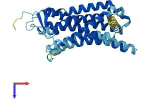 AlphaFold protein structure predicition of Human Recombinant OR51E2 Protein, UniprotID Q9H255