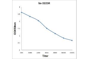 Antigen: 2 µg/100 µL  Primary: Antiserum, 1:500, 1:1000, 1:2000, 1:4000, 1:8000, 1:16000, 1:32000;  Secondary: HRP conjugated Rabbit Anti-Goat IgG at 1: 5000;  TMB staining Read the data in Microplate Reader by 450nm.