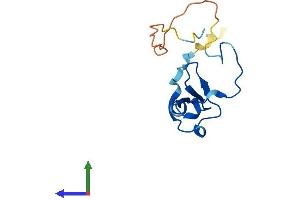 AlphaFold protein structure predicition of Mouse Recombinant Eif4ebp2 Protein, UniprotID P70445