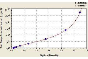 Caspase 3 (CASP3) ELISA Kit