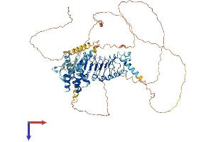 AlphaFold protein structure predicition of Mouse Recombinant Lrch1 Protein, UniprotID P62046
