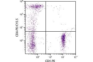 Human peripheral blood lymphocytes were stained with Mouse Anti-Human CD8-PE/CY5. (CD8 anticorps  (PE-Cy5.5))