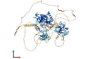 AlphaFold protein structure predicition of Human Recombinant KDM4B Protein, UniprotID O94953