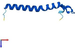 AlphaFold protein structure predicition of Human Recombinant TOMM7 Protein, UniprotID Q9P0U1