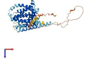 AlphaFold protein structure predicition of Human Recombinant SLC35D3 Protein, UniprotID Q5M8T2
