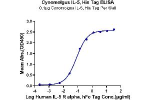 Immobilized Cynomolgus IL-5, His Tag at 1 μg/mL (100 μL/well) on the plate.