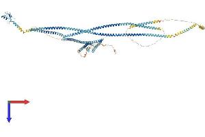 AlphaFold protein structure predicition of Human Recombinant RNF20 Protein, UniprotID Q5VTR2