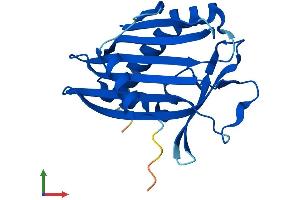 AlphaFold protein structure predicition of Mouse Recombinant Pctp Protein, UniprotID P53808