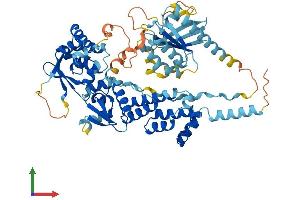 AlphaFold protein structure predicition of Human Recombinant RHOBTB3 Protein, UniprotID O94955