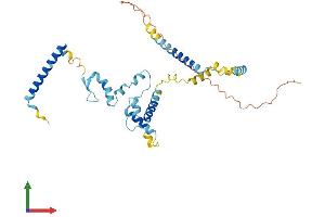 AlphaFold protein structure predicition of Human Recombinant SNRNP48 Protein, UniprotID Q6IEG0